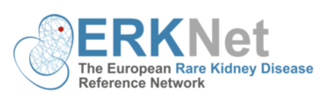 European Reference Network for Rare Kidney Diseases (ERKNet)