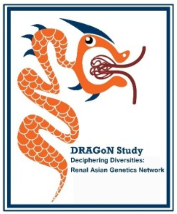 Deciphering Diversities: Renal Asian Genetics Network (DRAGoN)